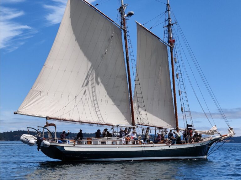 Sailing the Spike Africa Schooner: Youth Mentoring expedition