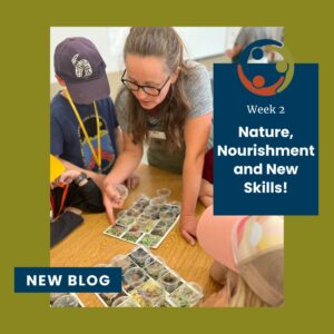 Read more about the article Week Two of Camp: Nature, Nourishment and New Skills