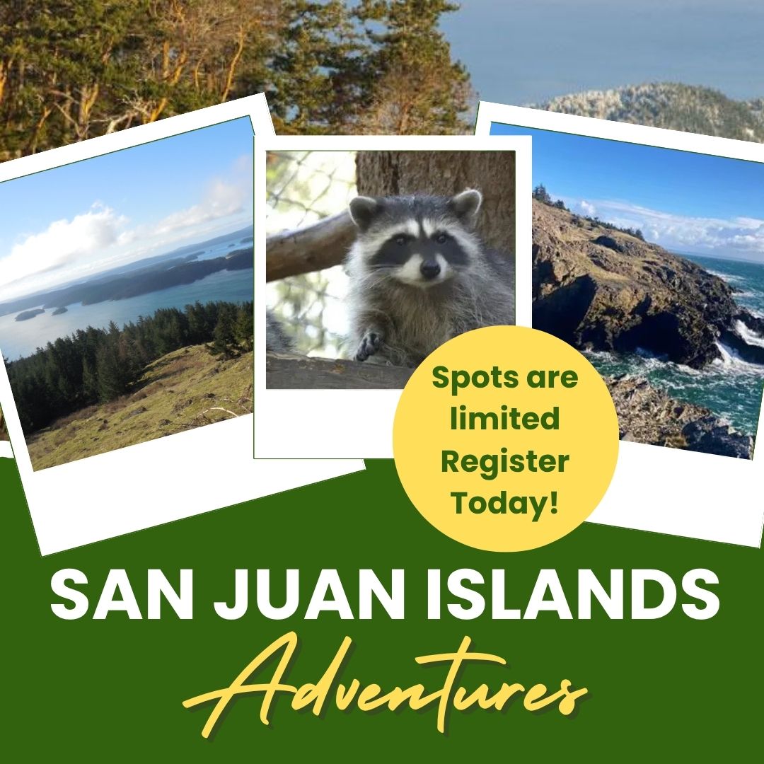 Read more about the article San Juan Islands Adventures!