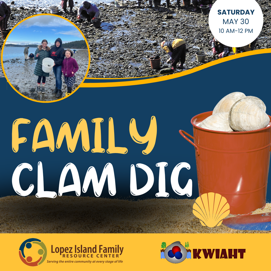 Read more about the article Family Clam Dig